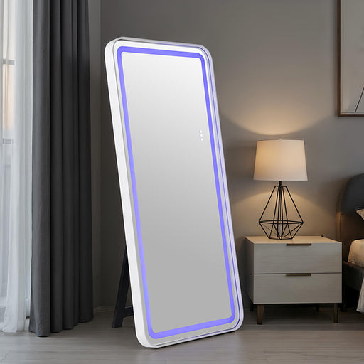 Katlyn Floor Mirror - Dream Home Furniture & Mattress (Waite Park, MN)