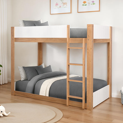 Terri Twin/Twin Bunk Bed - Dream Home Furniture & Mattress (Waite Park, MN)