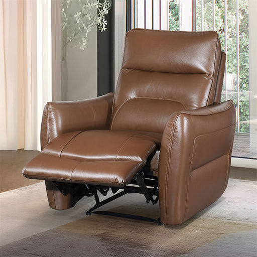 Terentius Power Recliner - Dream Home Furniture & Mattress (Waite Park, MN)
