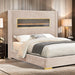 Danvers Bed - Dream Home Furniture & Mattress (Waite Park, MN)