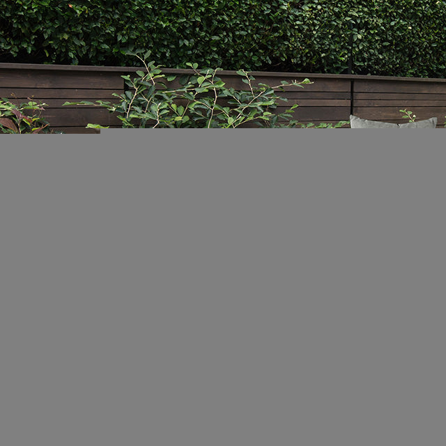 Kimara 3 & 5 Piece. Patio Dining Set